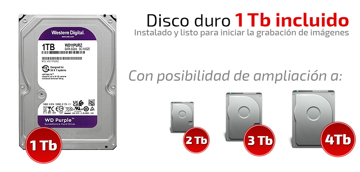 Grabador Full HD 1080P con disco duro 1 Tb incluido.
